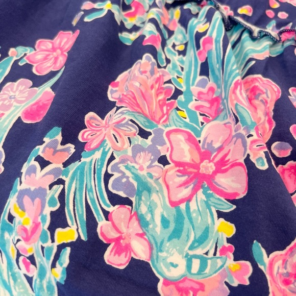 Lilly Pulitzer SMALL Loro Cotton Swing Dress in Corsica Blue Toucan Party - Picture 5 of 6